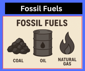 What Are Fossil Fuels? Types, Formation, Uses, and Environmental Effects