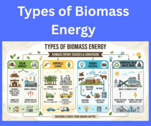 Types of Biomass Energy explained