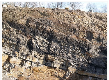  Coal seam visible as a dark layer between sedimentary rock formations.